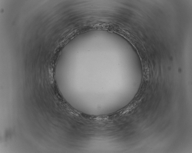 X0000078271013200612011714