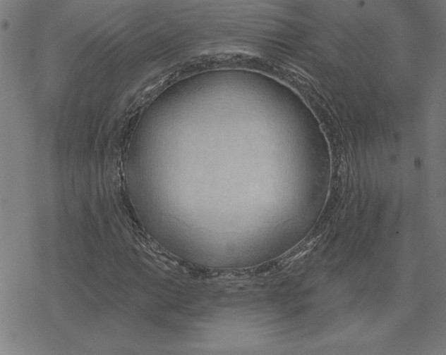 X0000078271014200612011714