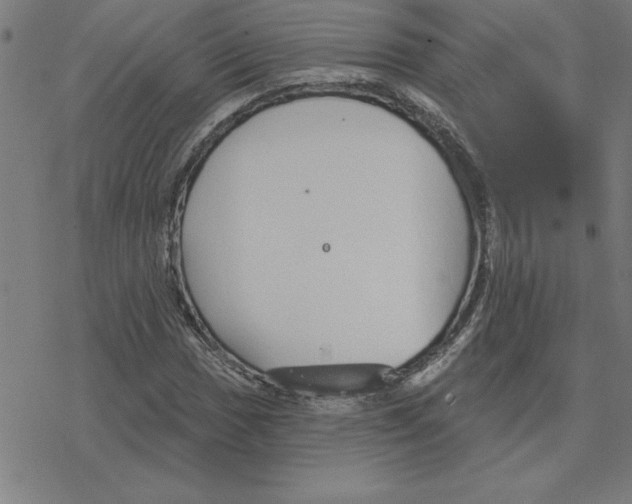 X0000078271017200612011714