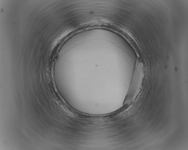 X0000078271018200612011714