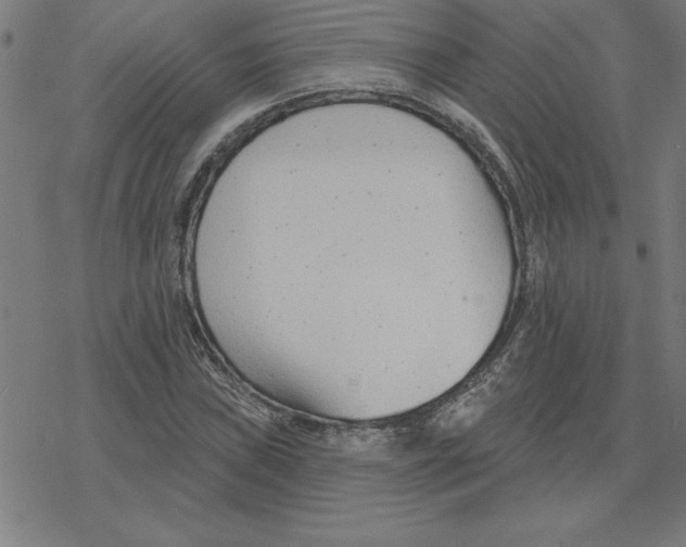 X0000078271019200612011714