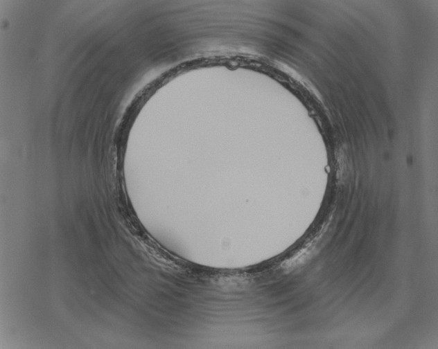 X0000078271021200612011714