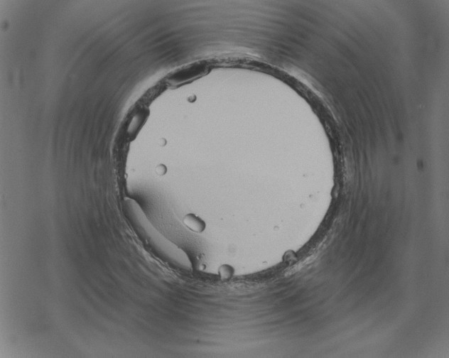 X0000078271022200612011714