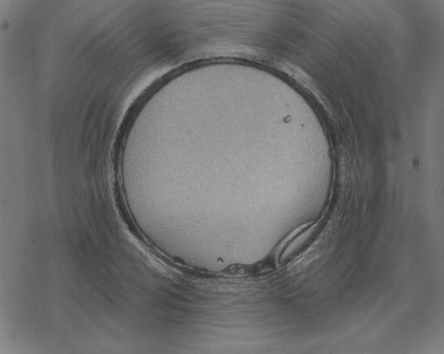 X0000078271024200612011714