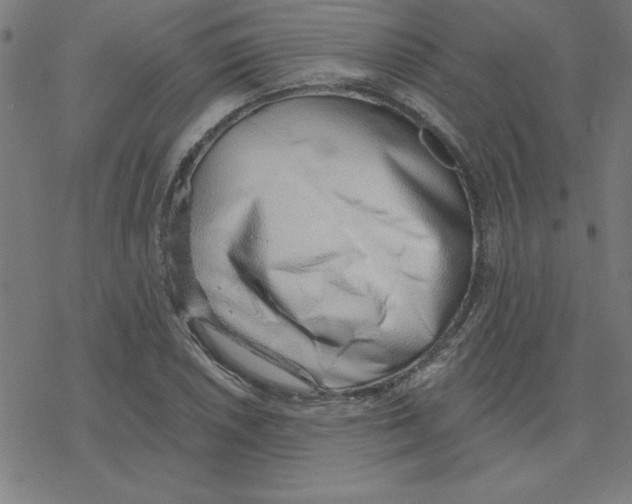 X0000078271026200612011714