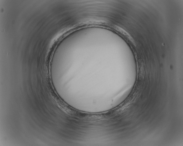 X0000078271027200612011714