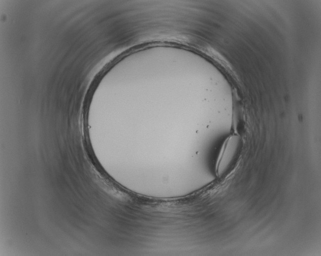 X0000078271028200612011714