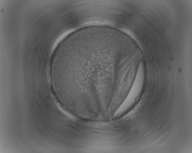 X0000078271030200612011714