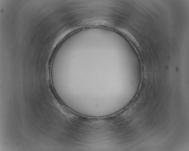 X0000078271031200612011714