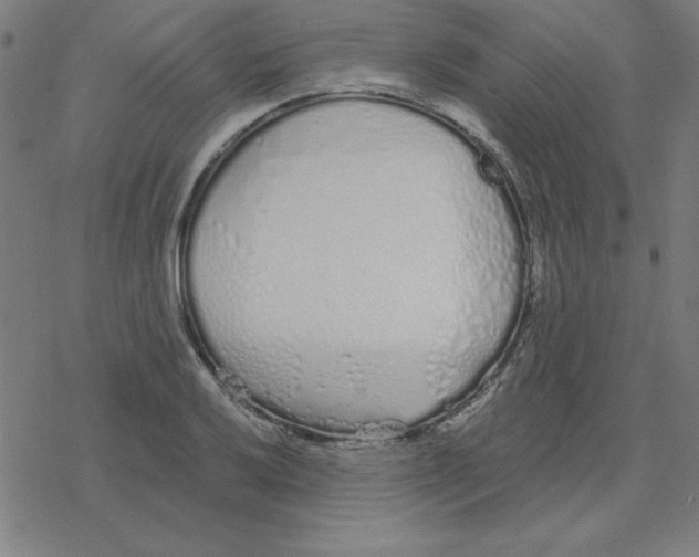 X0000078271032200612011714