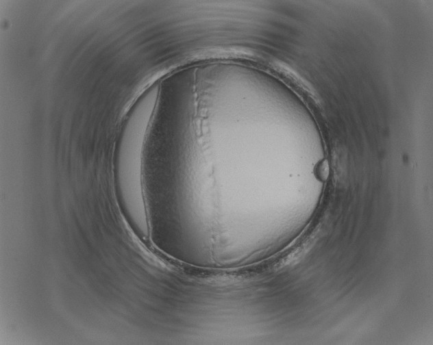 X0000078271033200612011714