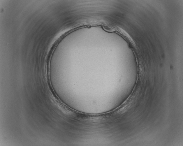 X0000078271035200612011714