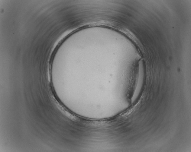 X0000078271036200612011714