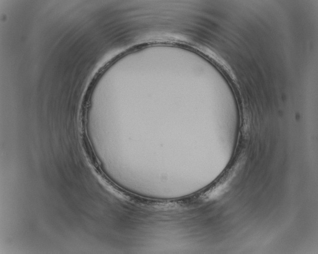 X0000078271037200612011714