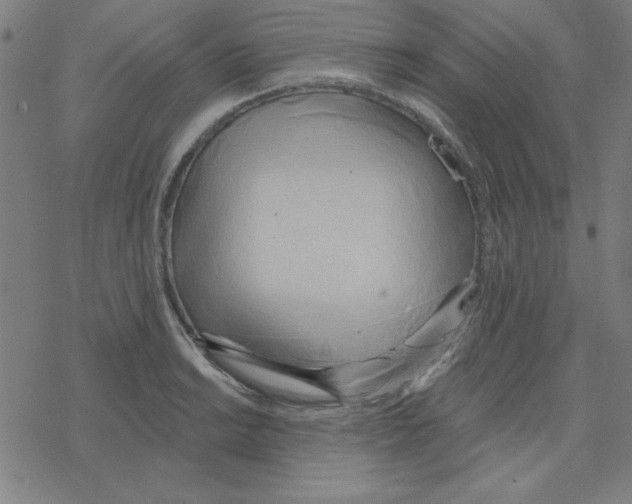 X0000078271038200612011714