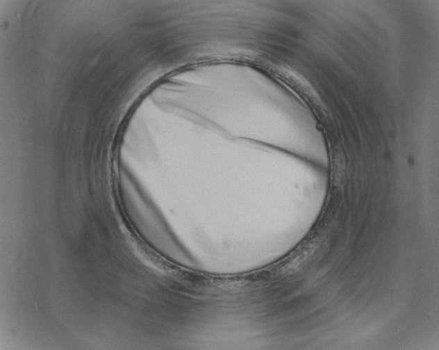 X0000078271039200612011714