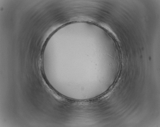 X0000078271040200612011714