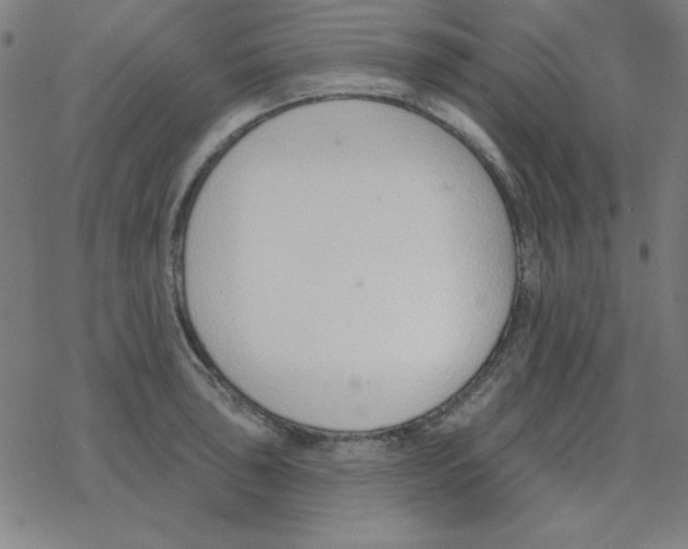 X0000078271043200612011714