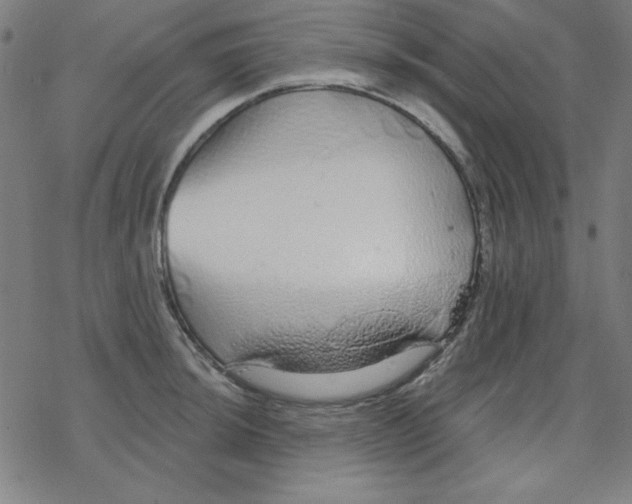 X0000078271044200612011714