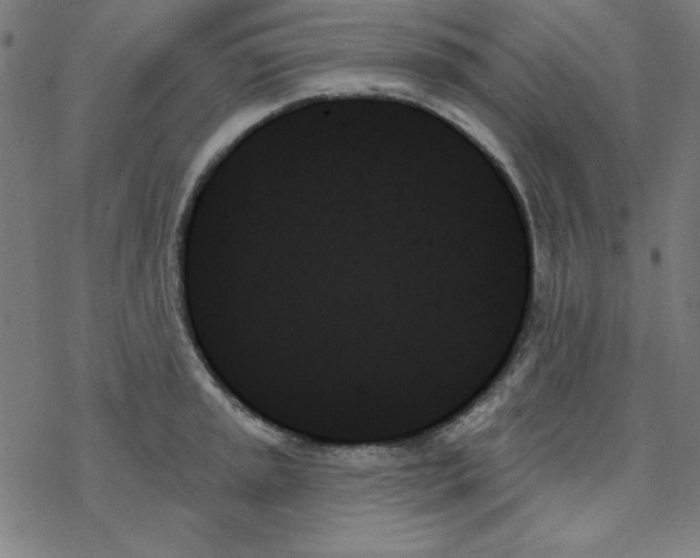 X0000078271045200612011714