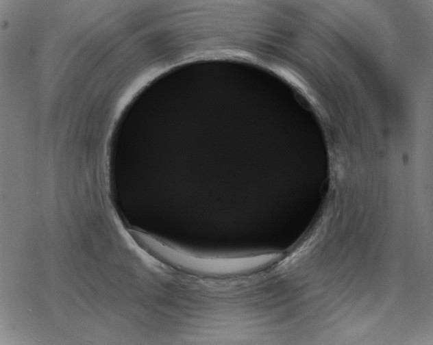 X0000078271046200612011714