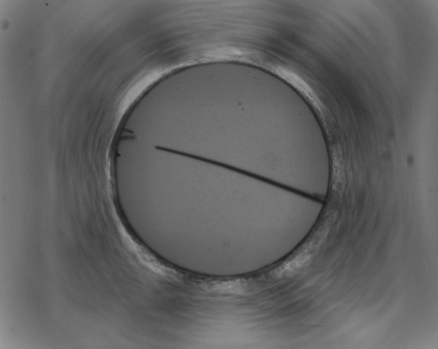 X0000078271047200612011714