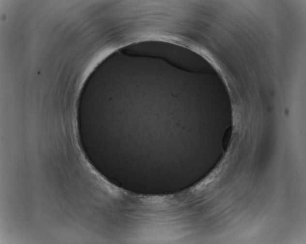 X0000078271048200612011714