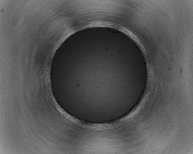 X0000078271049200612011714