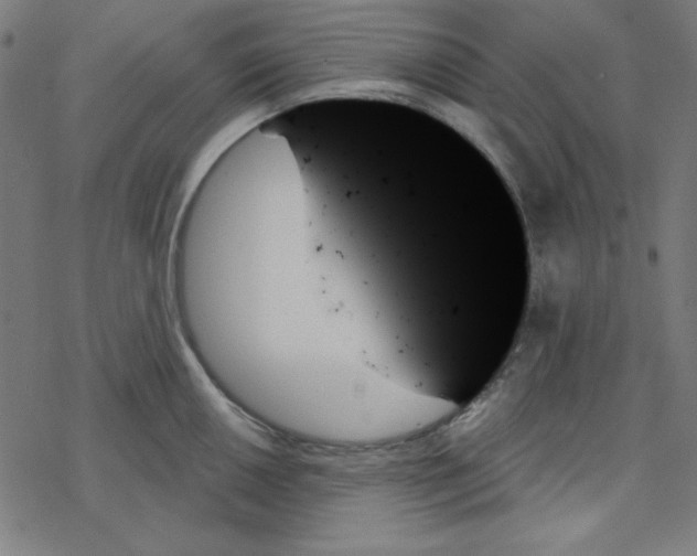 X0000078271050200612011714