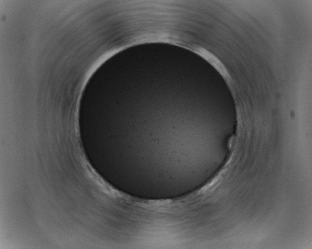 X0000078271052200612011714