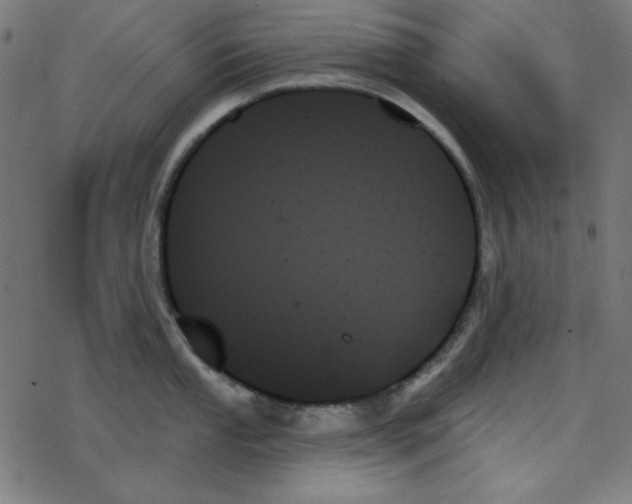 X0000078271053200612011714