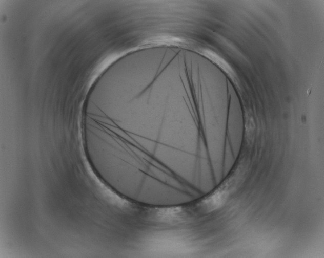 X0000078271055200612011714