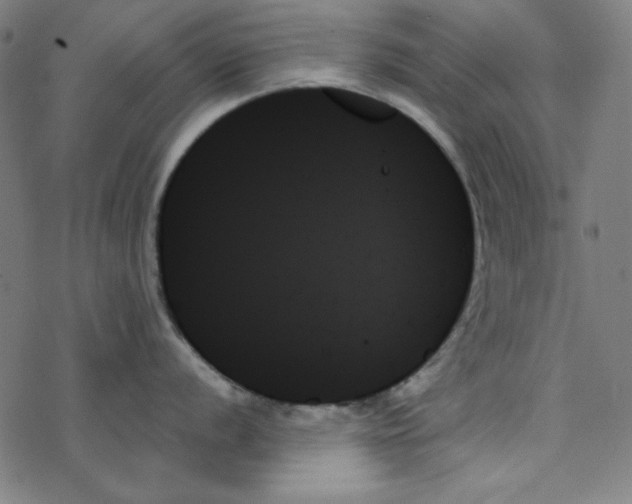 X0000078271056200612011714