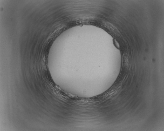 X0000078271060200612011714