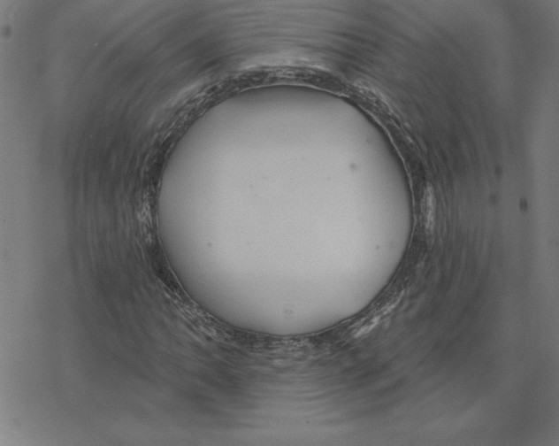 X0000078271062200612011714