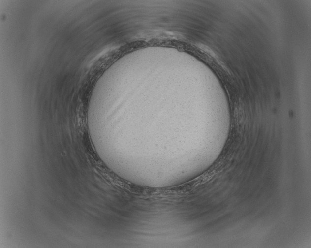 X0000078271063200612011714