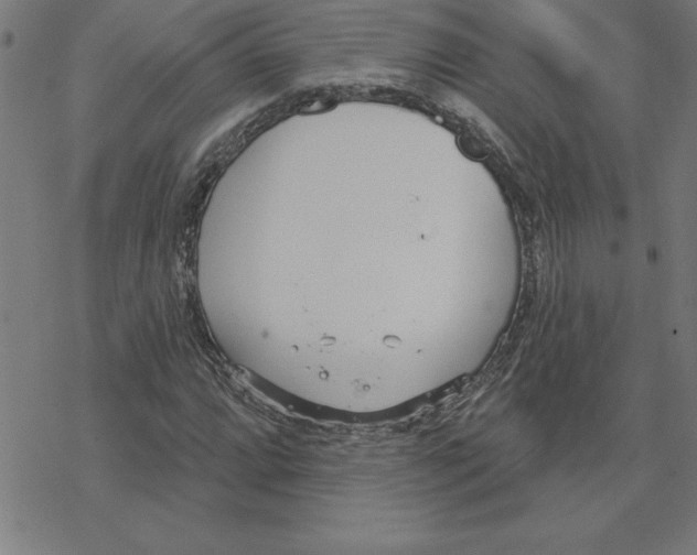 X0000078271064200612011714