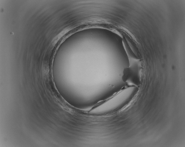 X0000078271065200612011714