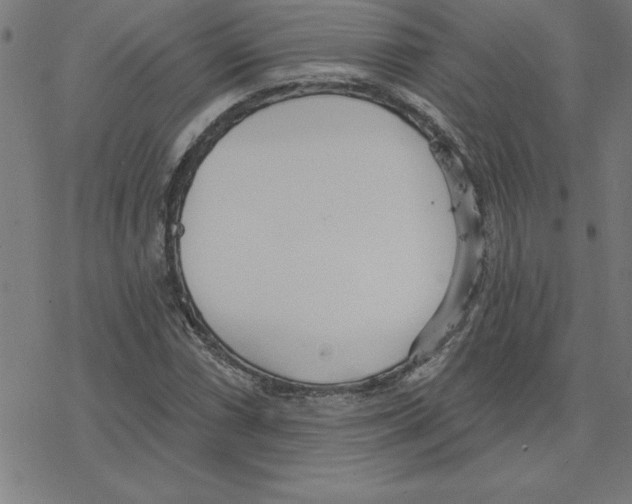 X0000078271066200612011714