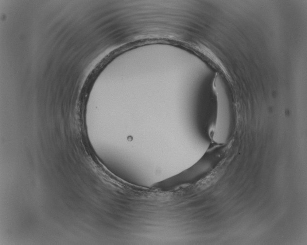 X0000078271068200612011713