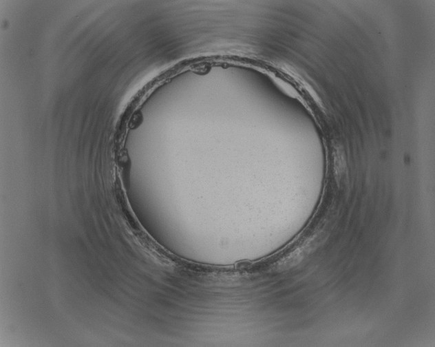 X0000078271069200612011713