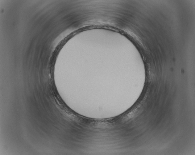 X0000078271070200612011713