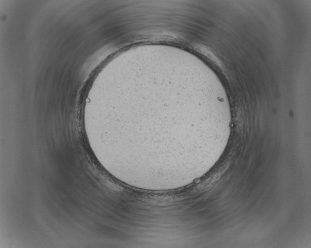 X0000078271071200612011713