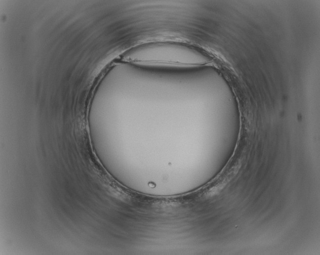 X0000078271073200612011713