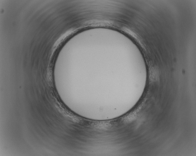 X0000078271074200612011713