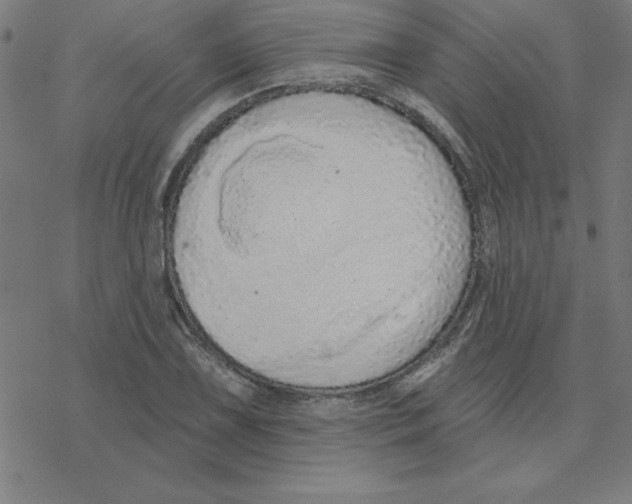 X0000078271075200612011713