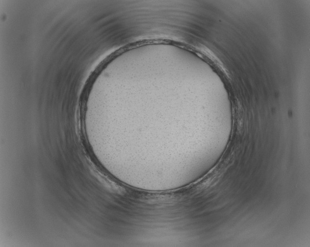 X0000078271076200612011713