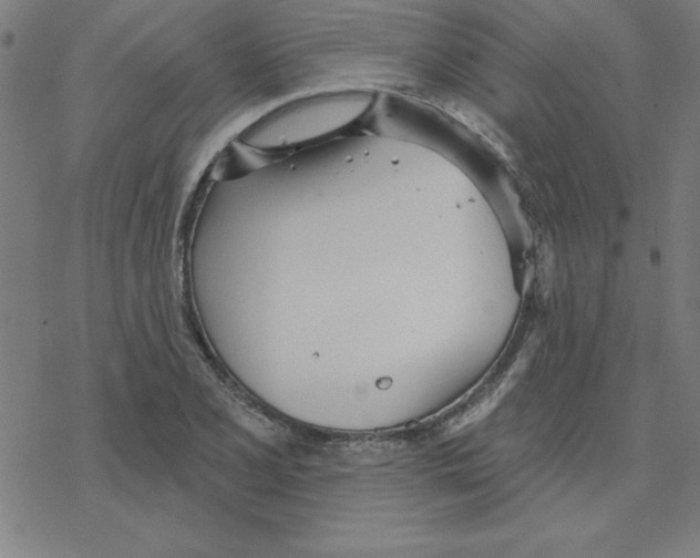 X0000078271077200612011713