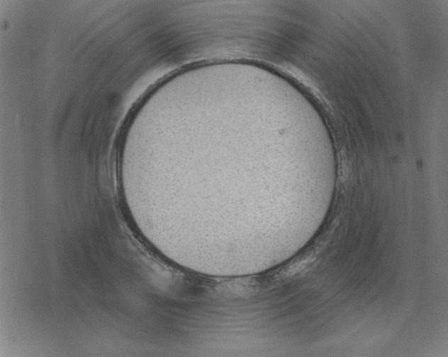 X0000078271078200612011713