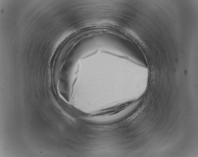 X0000078271079200612011713